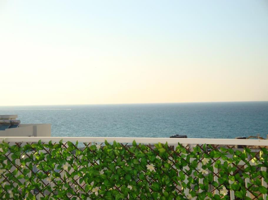 Appartement Centre Penthouse With Seaview